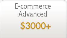 E-commerce advanced $3000+