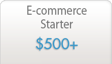 E-commerce starter $500+
